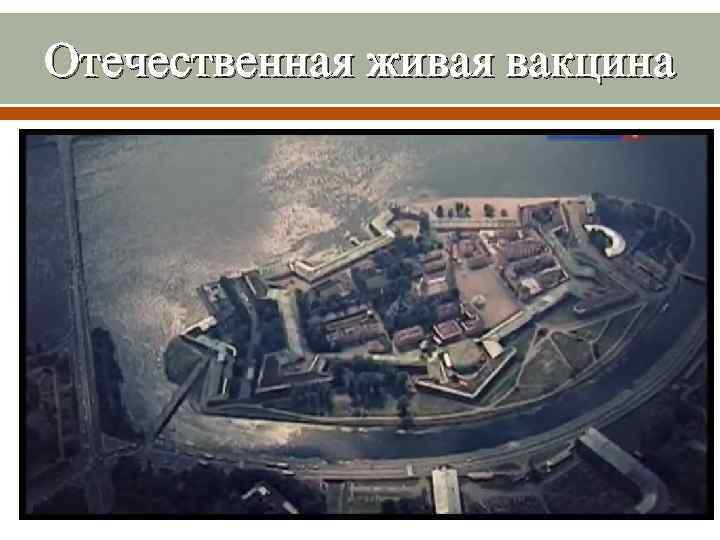 Отечественная живая вакцина 