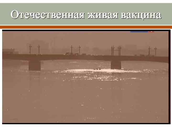 Отечественная живая вакцина 