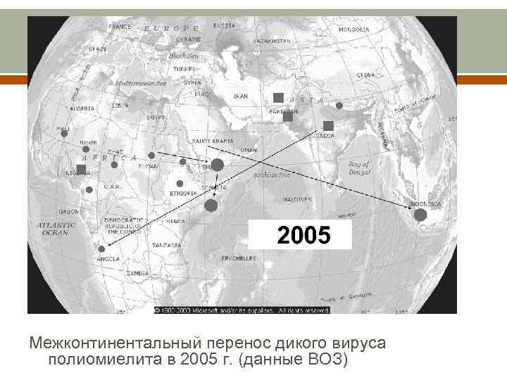 Межконтинентальный перенос дикого вируса полиомиелита в 2005 г. (данные ВОЗ) 