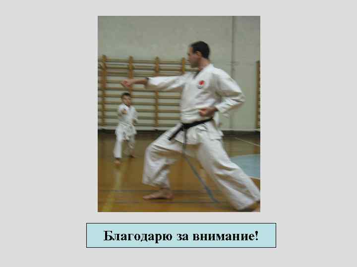 Благодарю за внимание! 