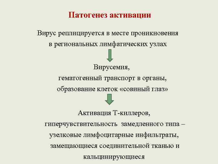 Патогенез активации Вирус реплицируется в месте проникновения в региональных лимфатических узлах Вирусемия, гематогенный транспорт