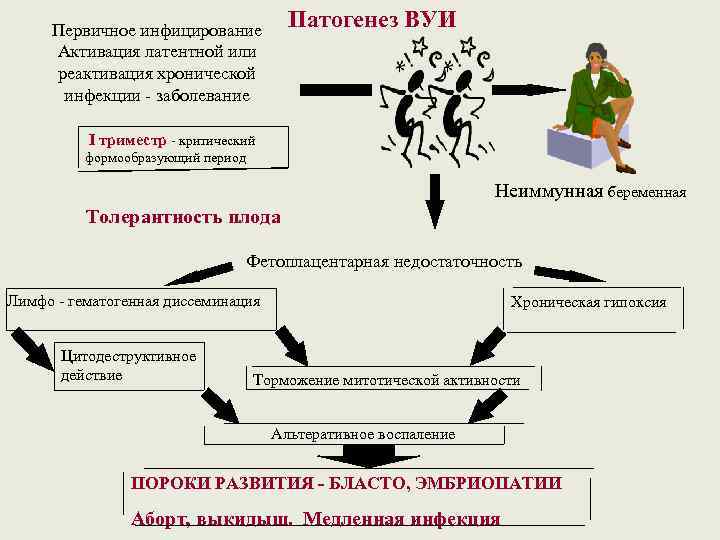 Цитомегаловирусная инфекция патогенез схема