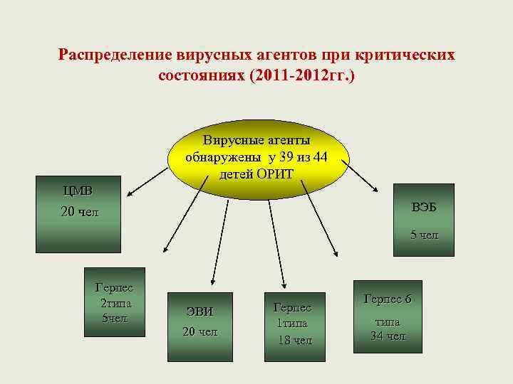 Распределение вирусных агентов при критических состояниях (2011 -2012 гг. ) Вирусные агенты обнаружены у