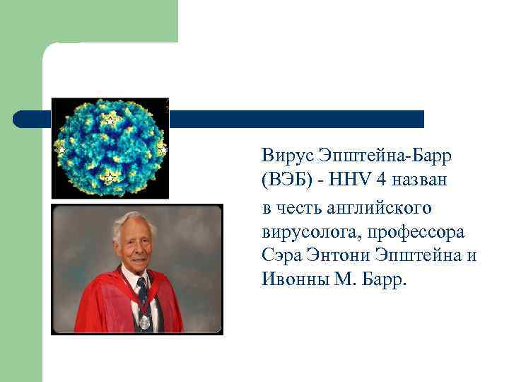 Вирус Эпштейна-Барр (ВЭБ) - HHV 4 назван в честь английского вирусолога, профессора Сэра Энтони