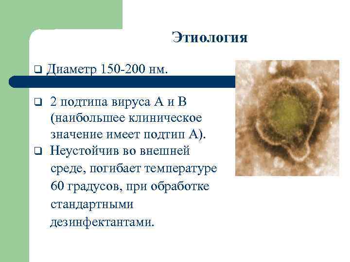 Этиология q Диаметр 150 -200 нм. 2 подтипа вируса А и В (наибольшее клиническое