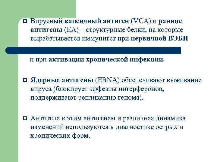  Вирусный капсидный антиген (VCA) и ранние антигены (ЕА) – структурные белки, на которые