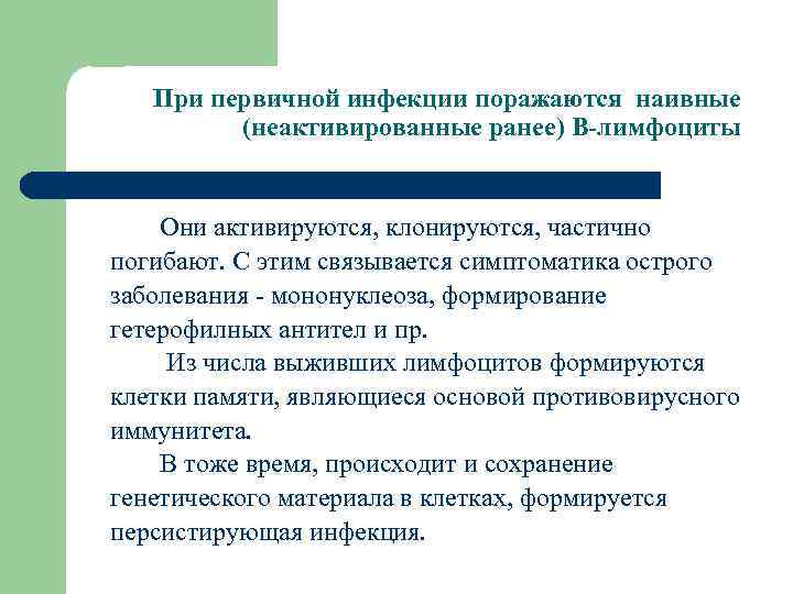 При первичной инфекции поражаются наивные (неактивированные ранее) В-лимфоциты Они активируются, клонируются, частично погибают. С