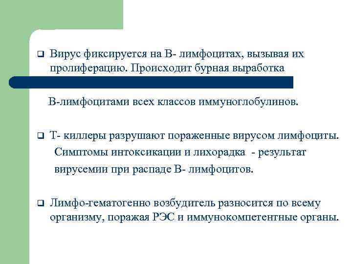 q Вирус фиксируется на В- лимфоцитах, вызывая их пролиферацию. Происходит бурная выработка В-лимфоцитами всех