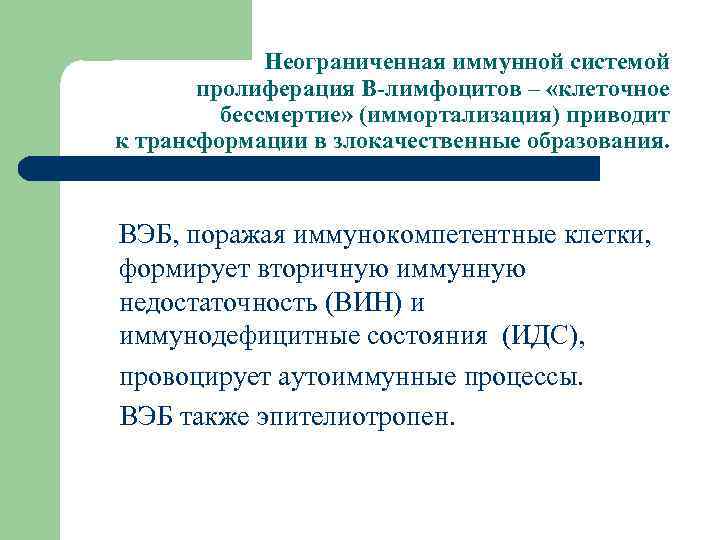  Неограниченная иммунной системой пролиферация В-лимфоцитов – «клеточное бессмертие» (иммортализация) приводит к трансформации в