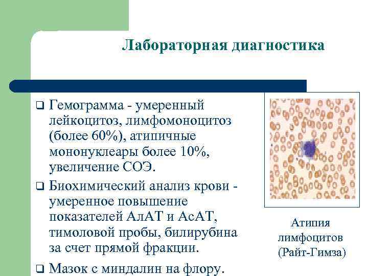 Лабораторная диагностика Гемограмма - умеренный лейкоцитоз, лимфомоноцитоз (более 60%), атипичные мононуклеары более 10%, увеличение