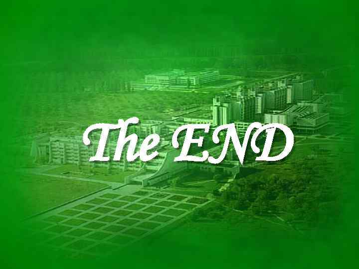 The END 