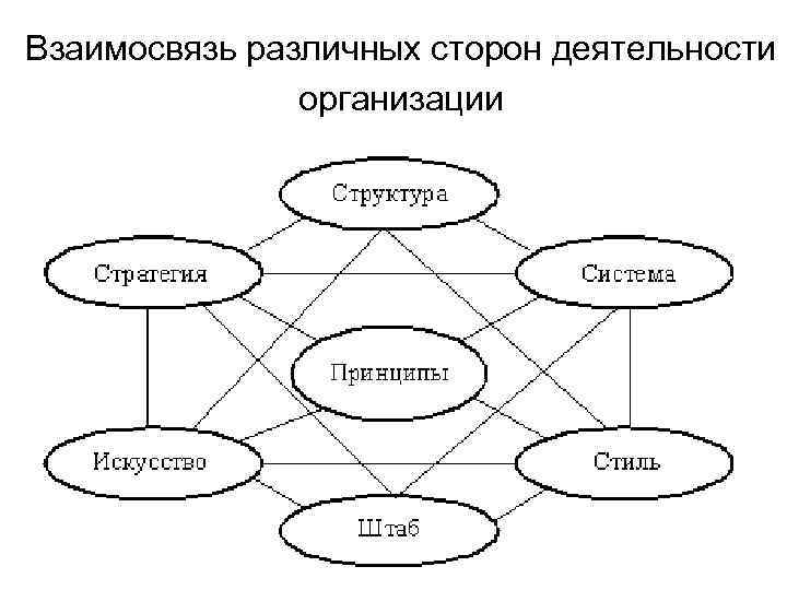 Взаимосвязь различных сторон деятельности организации 