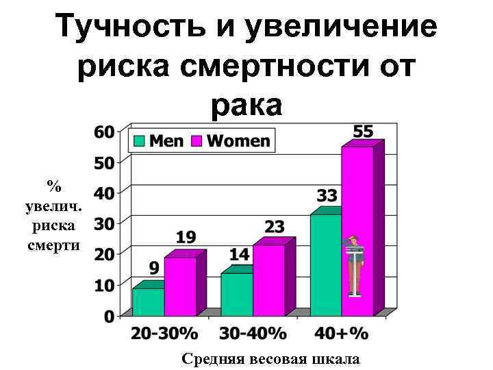 Тучность и увеличение риска смертности от рака % увелич. риска смерти Средняя весовая шкала