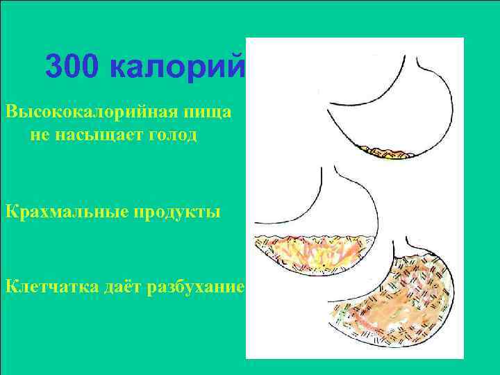 300 калорий Высококалорийная пища не насыщает голод Крахмальные продукты Клетчатка даёт разбухание 