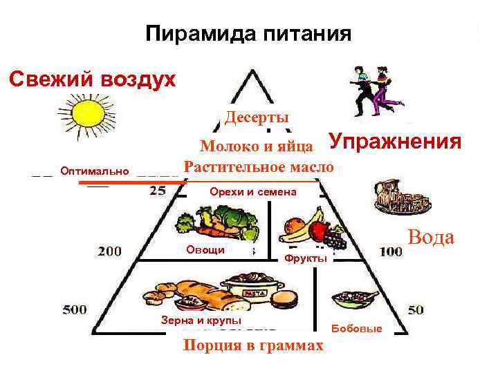 Пирамида питания Свежий воздух Десерты Оптимально Молоко и яйца Упражнения Растительное масло Орехи и