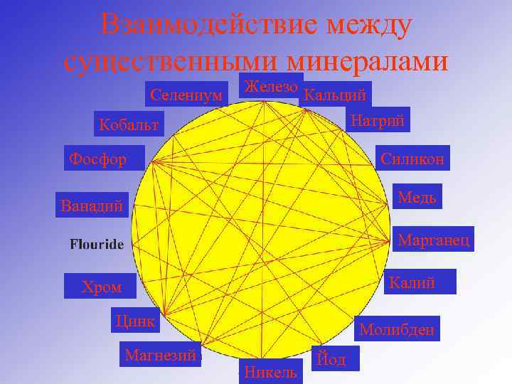 Взаимодействие между существенными минералами Селениум Железо Кальций Натрий Кобальт Фосфор Силикон Медь Ванадий Марганец