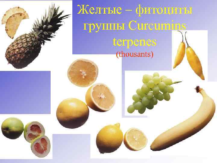 Желтые – фитоциты группы Curcumins terpenes (thousants) 