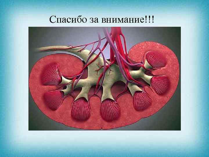 Спасибо за внимание!!! 