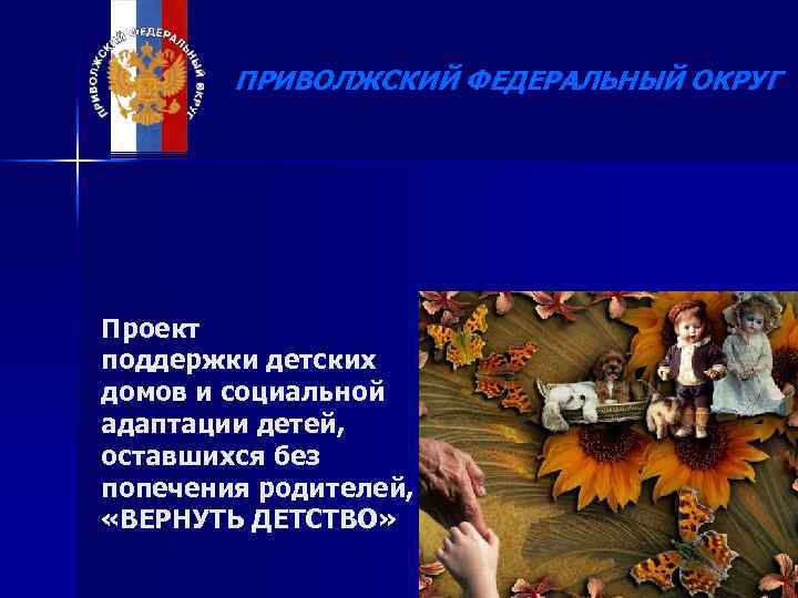 ПРИВОЛЖСКИЙ ФЕДЕРАЛЬНЫЙ ОКРУГ Проект поддержки детских домов и социальной адаптации детей, оставшихся без попечения