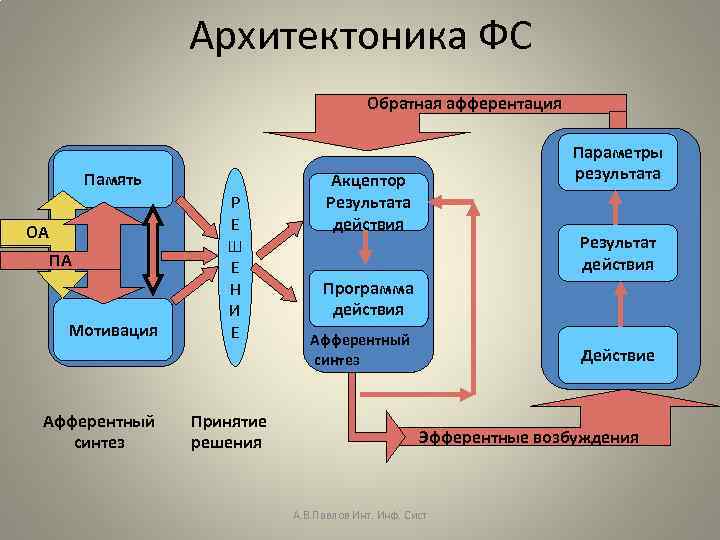 Операциональная схема фс механизм целенаправленного поведения