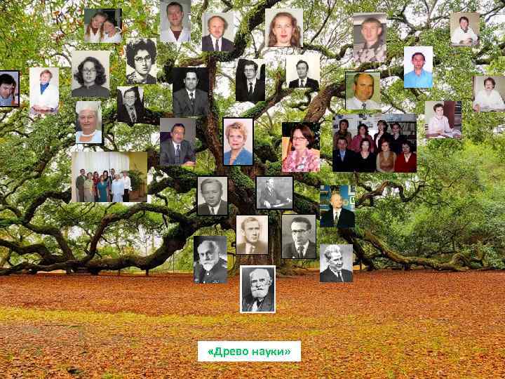  «Древо науки» 