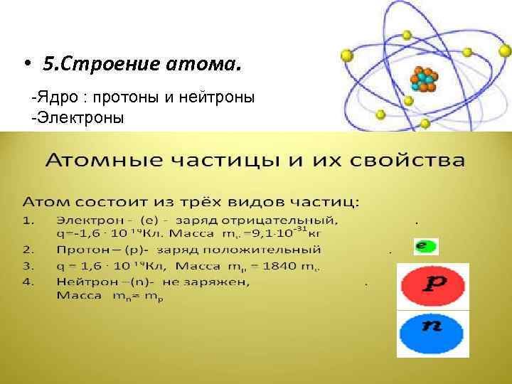  • 5. Строение атома. -Ядро : протоны и нейтроны -Электроны 