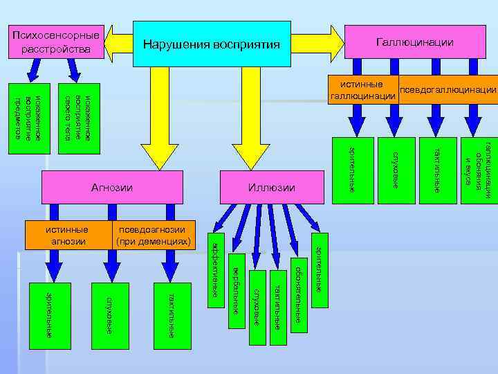 искаженное восприятие своего тела истинные псевдогаллюцинации искаженное восприятие предметов галлюцинации обоняния и вкуса тактильные