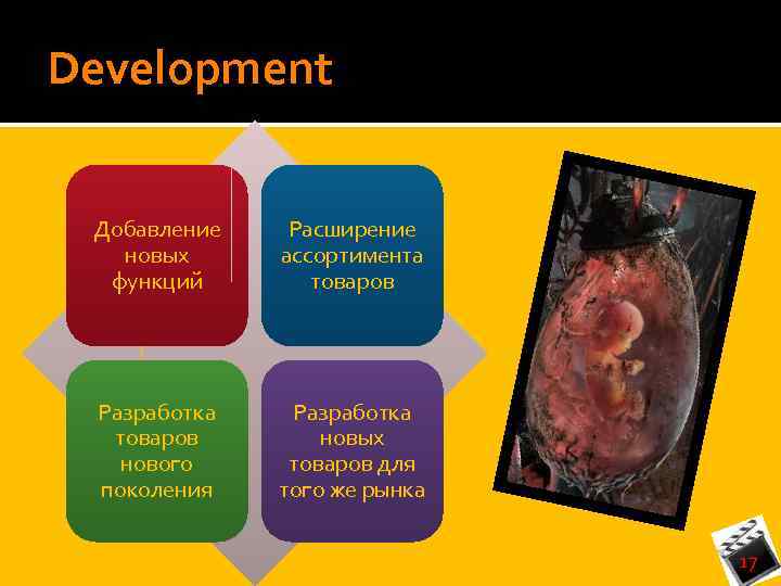 Development Добавление новых функций Расширение ассортимента товаров Разработка товаров нового поколения Разработка новых товаров