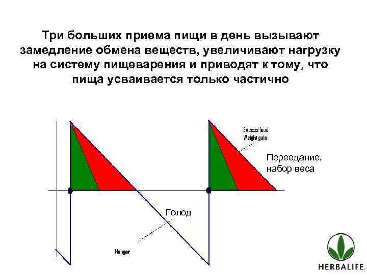 Три больших приема пищи в день вызывают замедление обмена веществ, увеличивают нагрузку на систему