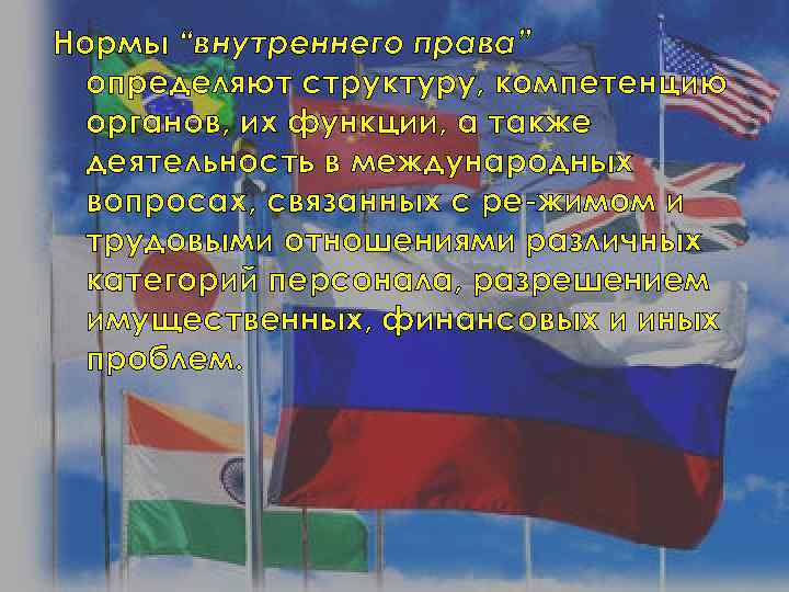 Нормы “внутреннего права” определяют структуру, компетенцию органов, их функции, а также деятельность в международных