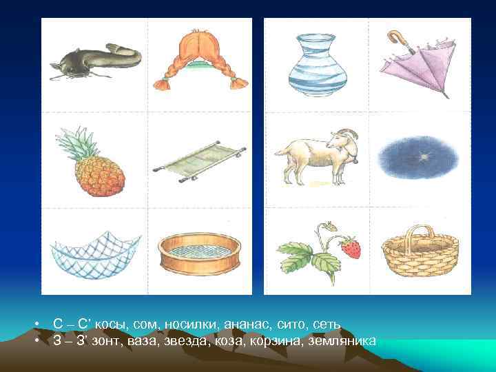  • С – С’ косы, сом, носилки, ананас, сито, сеть • З –