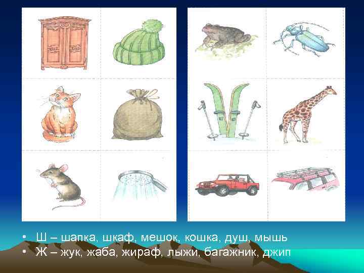  • Ш – шапка, шкаф, мешок, кошка, душ, мышь • Ж – жук,