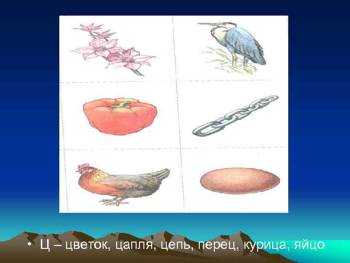  • Ц – цветок, цапля, цепь, перец, курица, яйцо 