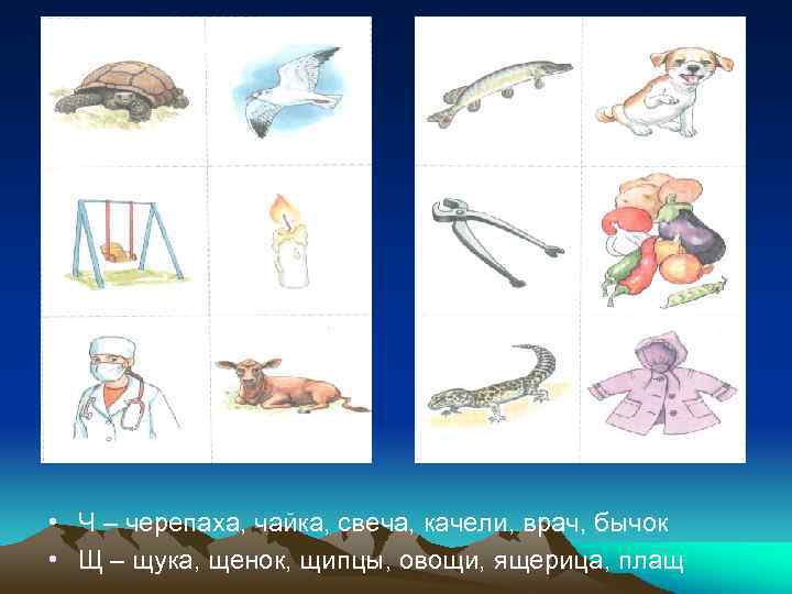  • Ч – черепаха, чайка, свеча, качели, врач, бычок • Щ – щука,