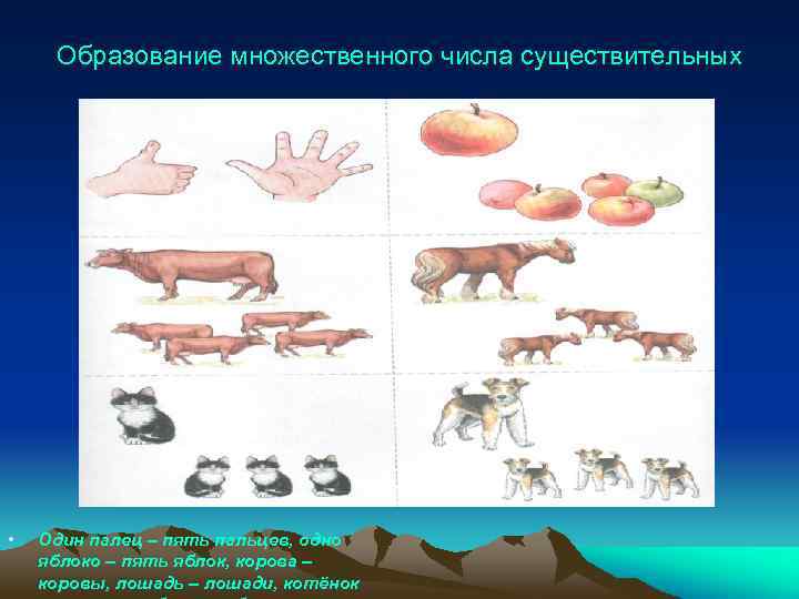 Образование множественного числа существительных • Один палец – пять пальцев, одно яблоко – пять