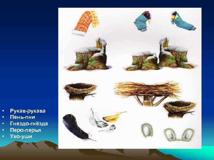  • • • Рукав-рукава Пень-пни Гнездо-гнёзда Перо-перья Ухо-уши 