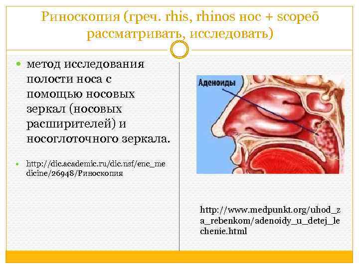 Риноскопия (греч. rhis, rhinos нос + scopeō рассматривать, исследовать) метод исследования полости носа с