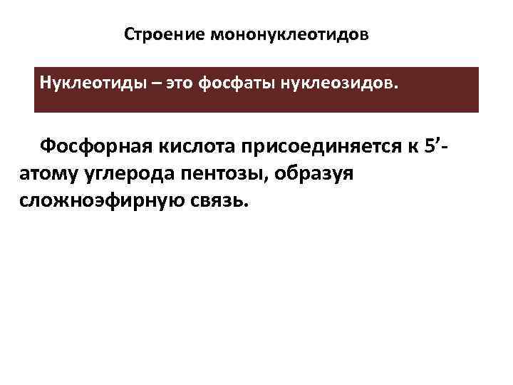 Строение мононуклеотидов Нуклеотиды – это фосфаты нуклеозидов. Фосфорная кислота присоединяется к 5’атому углерода пентозы,