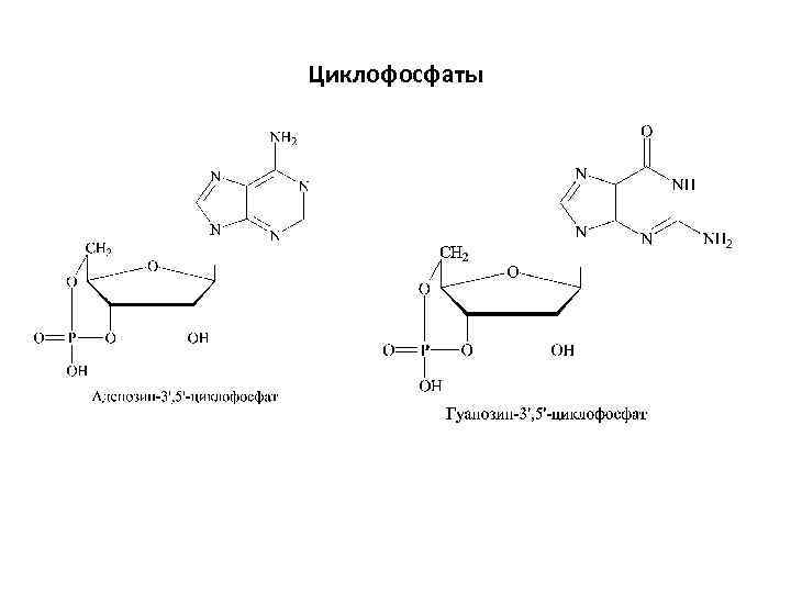 Циклофосфаты 