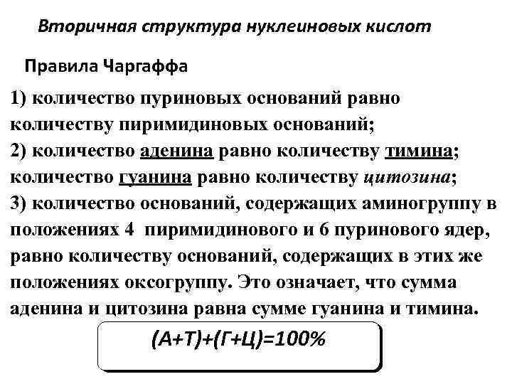 Вторичная структура нуклеиновых кислот Правила Чаргаффа 1) количество пуриновых оснований равно количеству пиримидиновых оснований;
