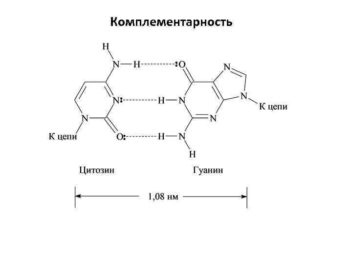 Комплементарность 