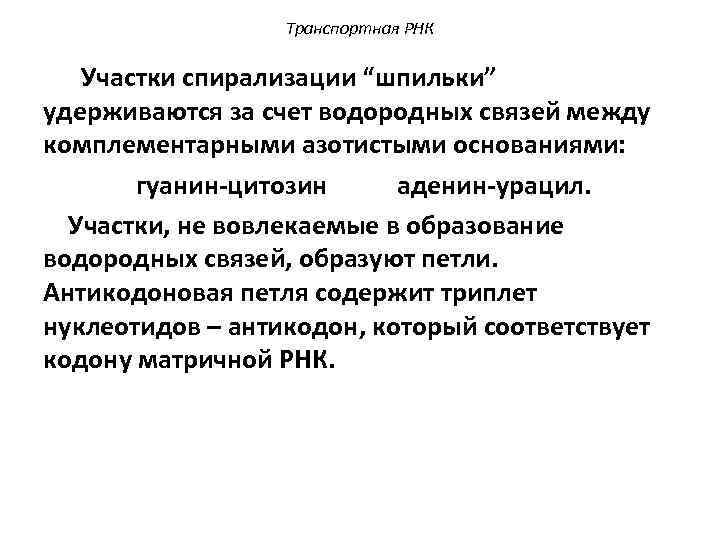 Транспортная РНК Участки спирализации “шпильки” удерживаются за счет водородных связей между комплементарными азотистыми основаниями: