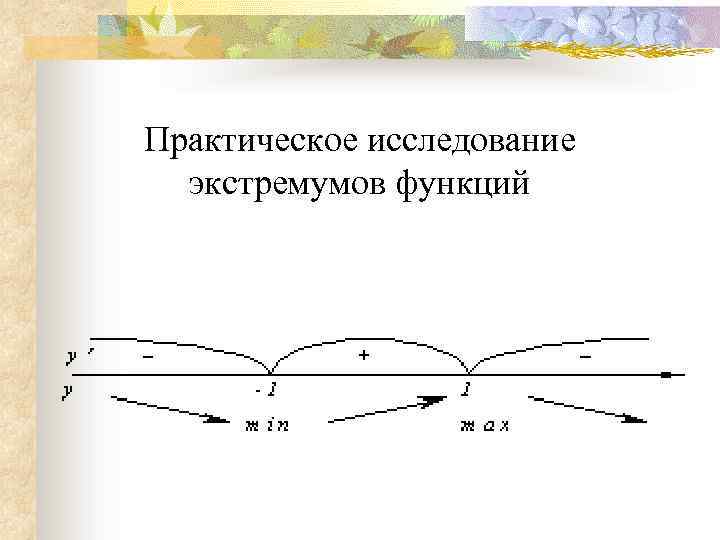 Практическое исследование экстремумов функций 