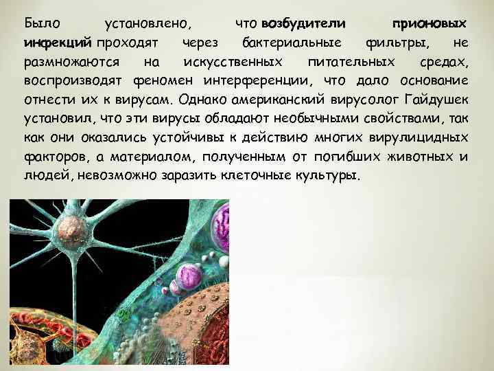 Было установлено, что возбудители прионовых инфекций проходят через бактериальные фильтры, не размножаются на искусственных