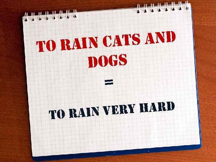 ats and o rain c t dogs = ery hard to rain v 