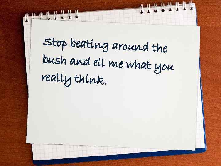 Stop beating around t he bush and ell me what you really think. 