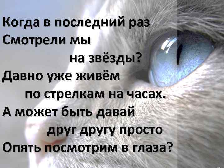 Когда в последний раз Смотрели мы на звёзды? Давно уже живём по стрелкам на