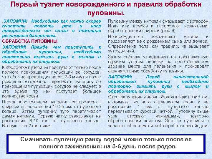 Первый туалет новорожденного и правила обработки пуповины. . ЗАПОМНИ! Необходимо как можно скорее очистить