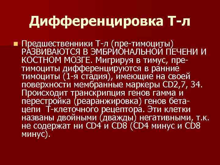 Дифференцировка Т-л n Предшественники Т-л (пре-тимоциты) РАЗВИВАЮТСЯ В ЭМБРИОНАЛЬНОЙ ПЕЧЕНИ И КОСТНОМ МОЗГЕ. Мигрируя