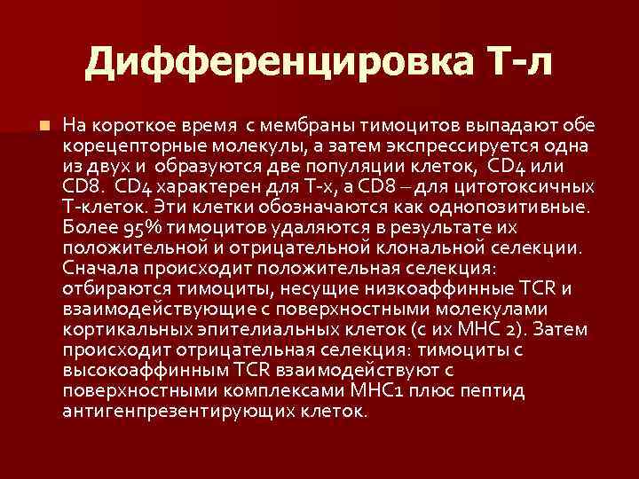 Дифференцировка Т-л n На короткое время с мембраны тимоцитов выпадают обе корецепторные молекулы, а